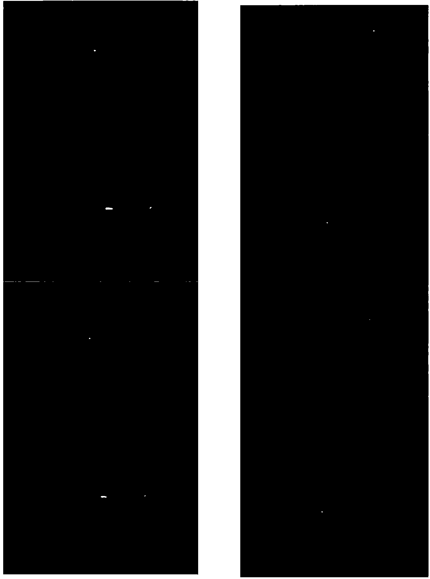 Water-sensitive fluorescence enhanced test paper as well as preparation method and application thereof