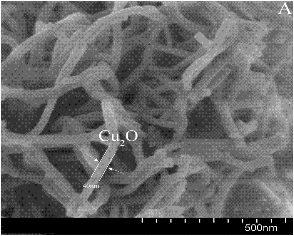 Preparation method and application of g-C3N4-Cu2O composite catalyst