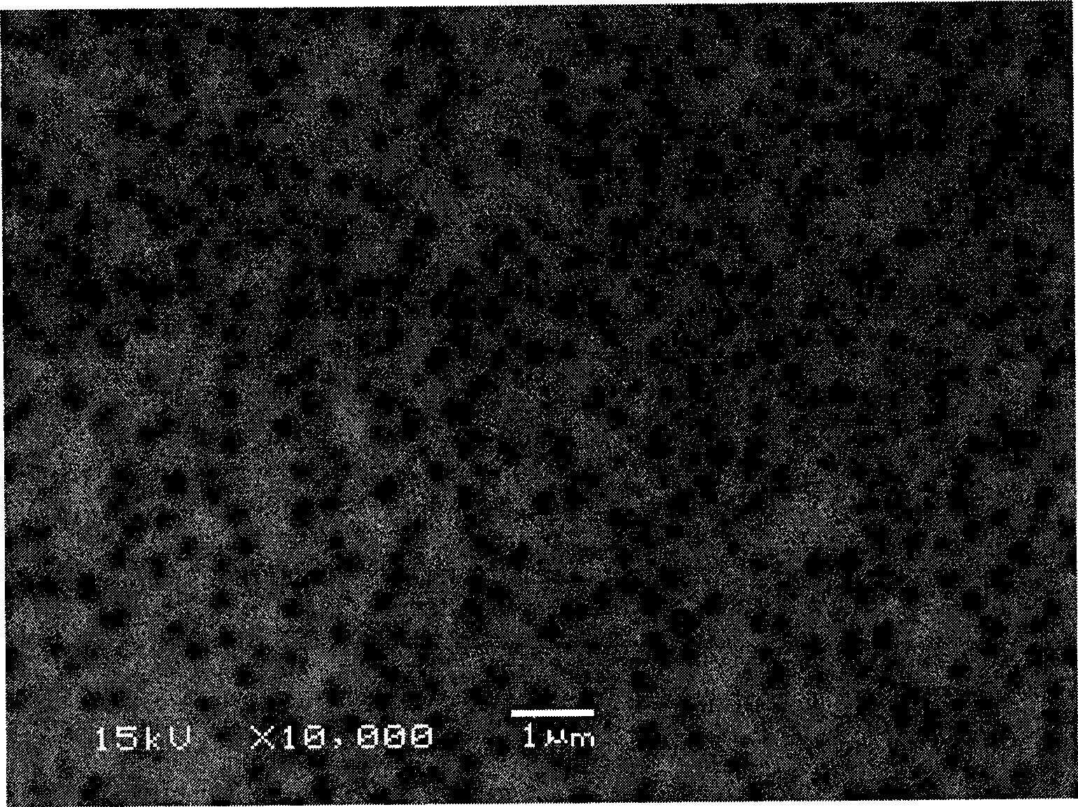 Method for preparing bismuth nano wire array thermoelectric materials