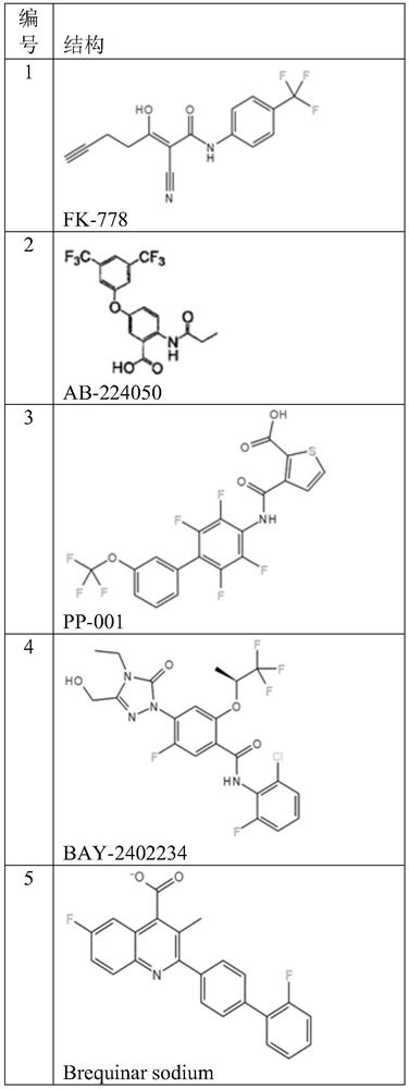 DHODH inhibitor of anti-RNA virus drug and application of DHODH inhibitor