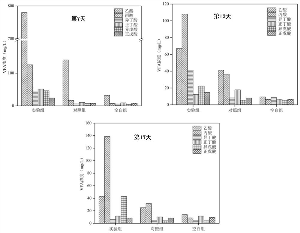 Sludge two-phase anaerobic treatment process based on sulfonyl porphyrin iron catalyst Fenton-like system