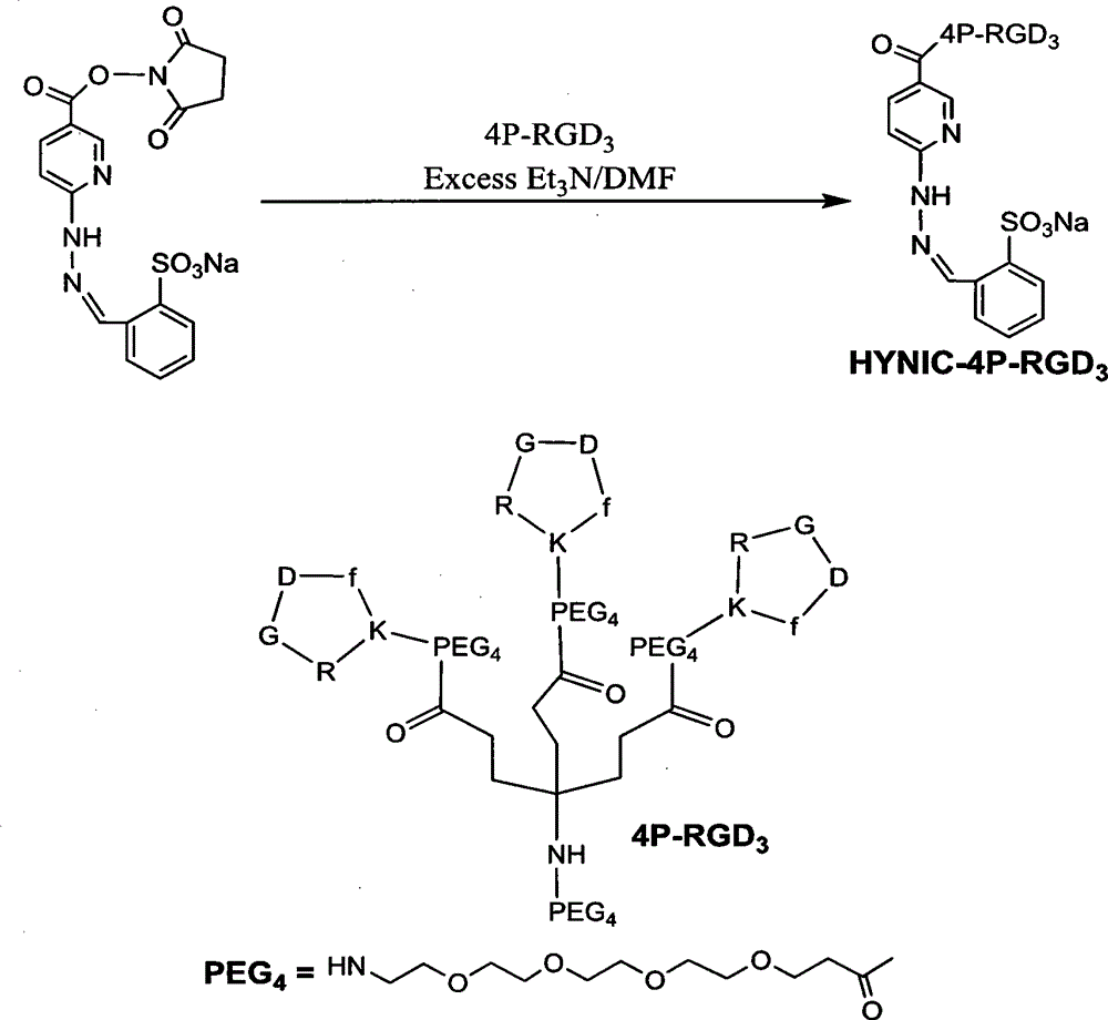 Chemical structure and preparation method of 99mTc-labeled RGD polypeptide trimer tumor imaging agent