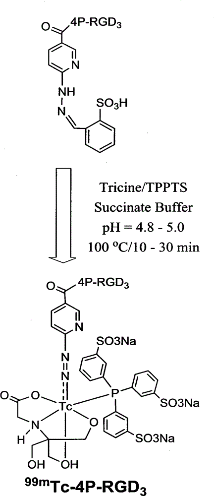 Chemical structure and preparation method of 99mTc-labeled RGD polypeptide trimer tumor imaging agent