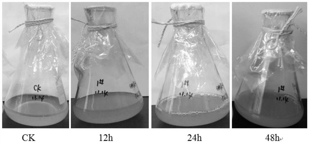 A kind of bacterial agent containing bacillus batavia hj-1 and application thereof