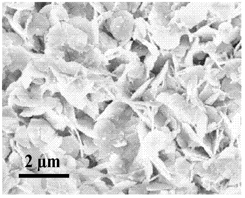 Nanometer adsorption material and preparation method thereof