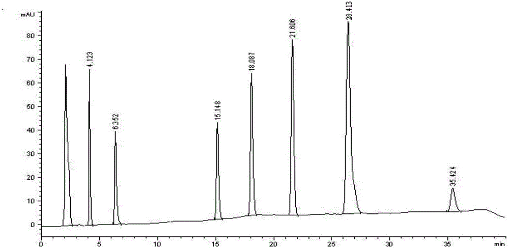 Preparation method, detection method and application of probe drug composition for determination of metabolic activity of cytochrome P450