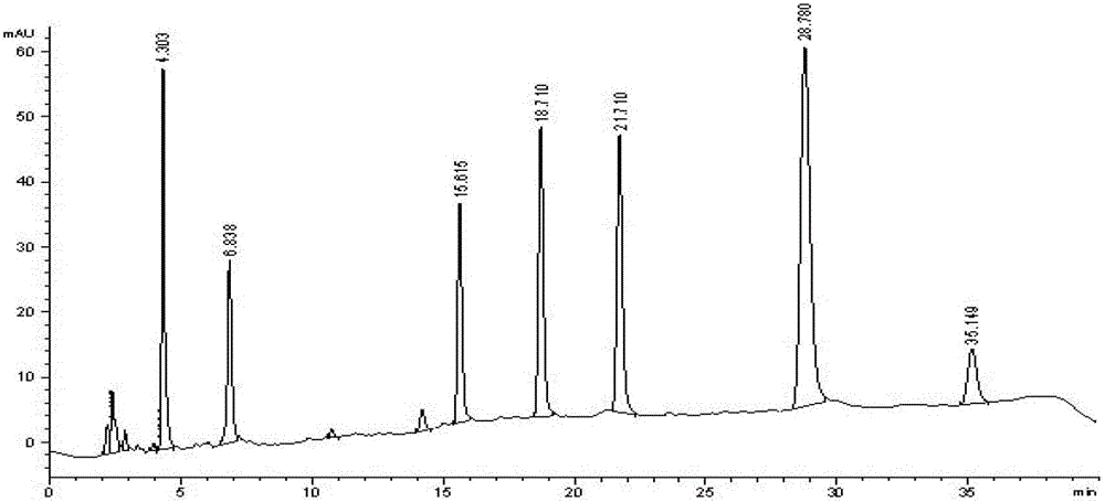 Preparation method, detection method and application of probe drug composition for determination of metabolic activity of cytochrome P450