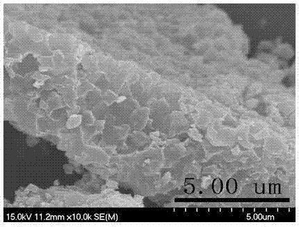 Synthetic method of metal Co-loaded N-doped three-dimensional porous carbon material having excellent electrocatalytic oxygen reduction performance