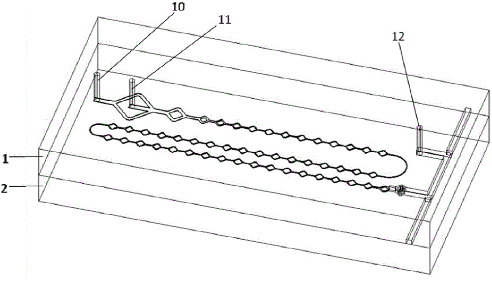 Micro-mixing detecting chip