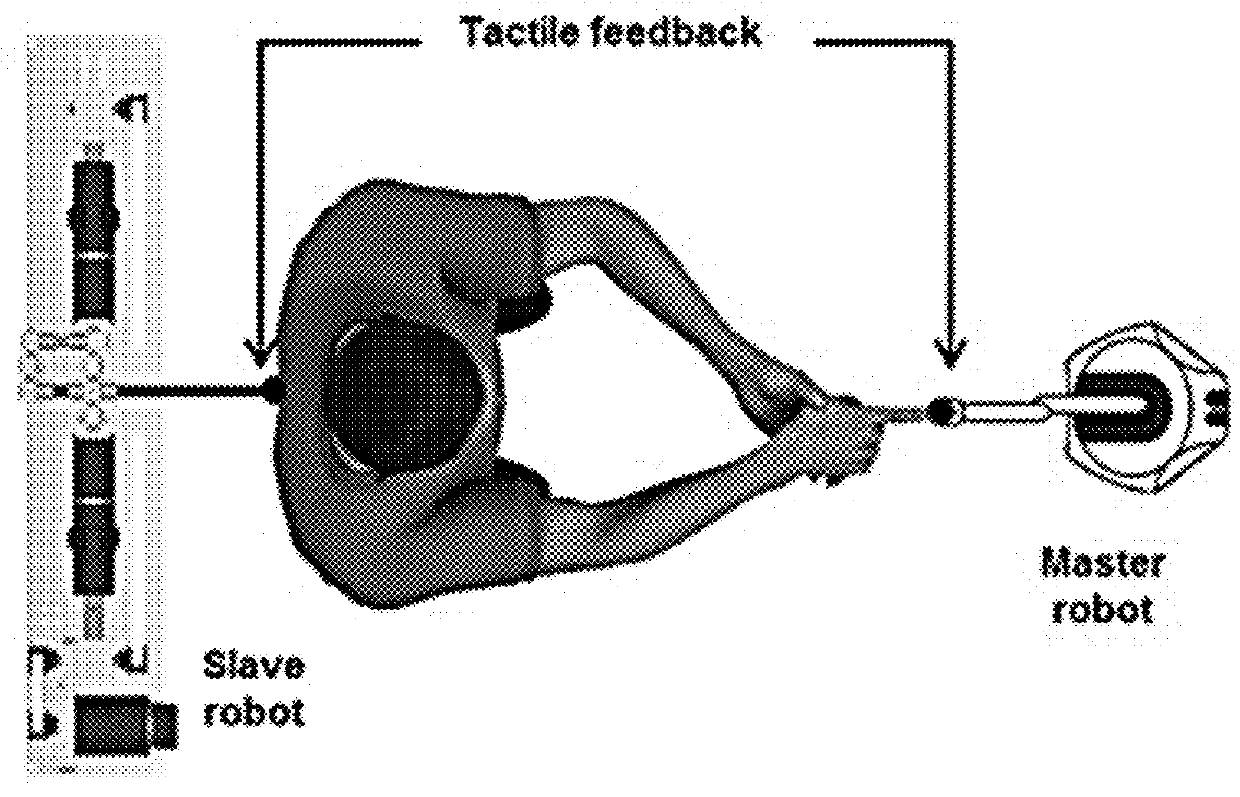 System and Method for Predicting Hallucinations