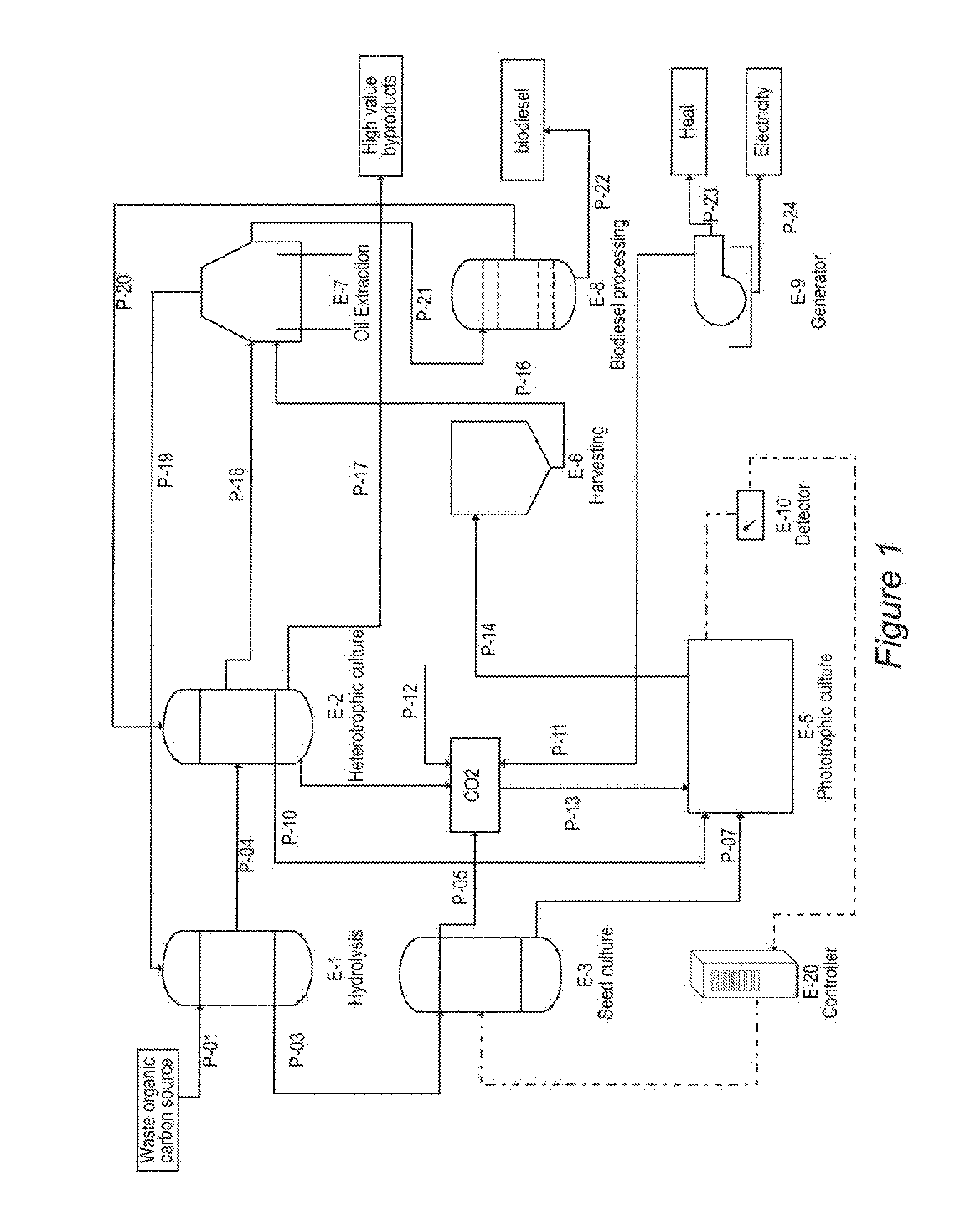 Integrated system for production of biofuel feedstock