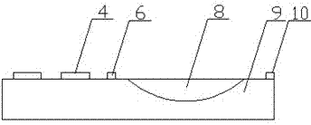 Method for manufacturing blood collection fixing plate