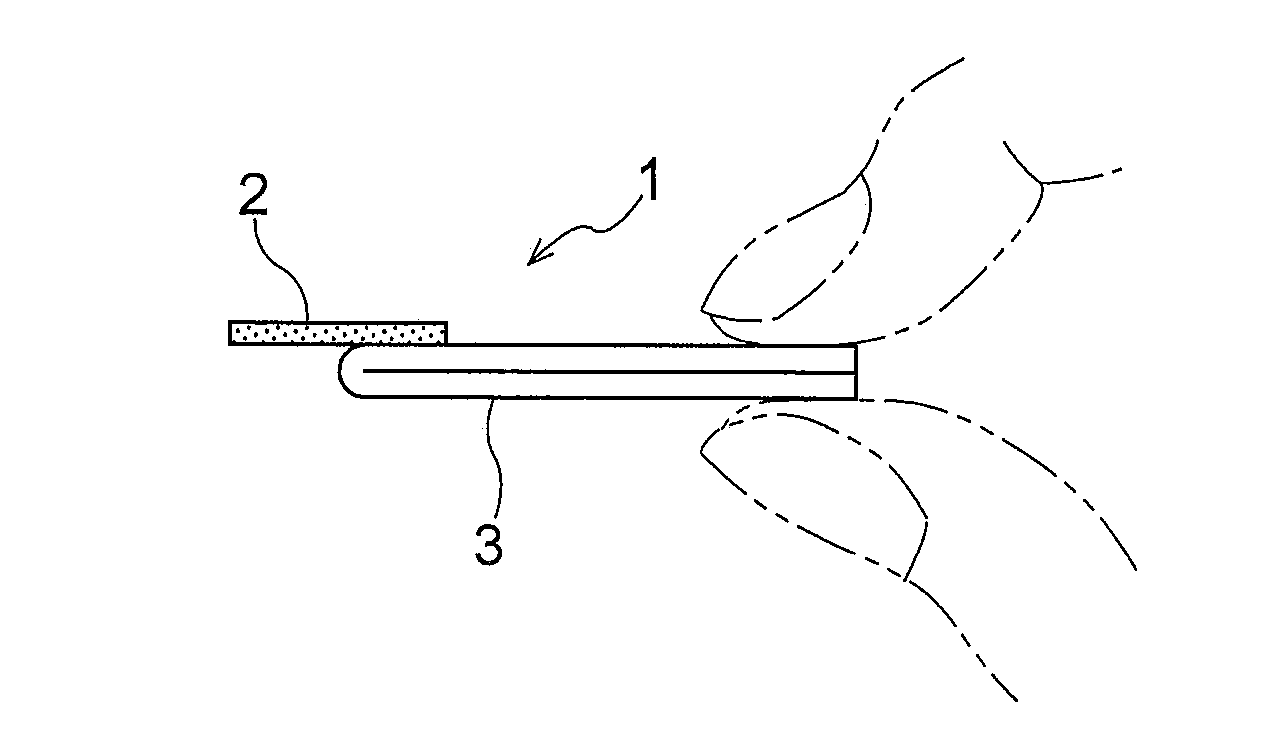 Drug support body, and method for producing same