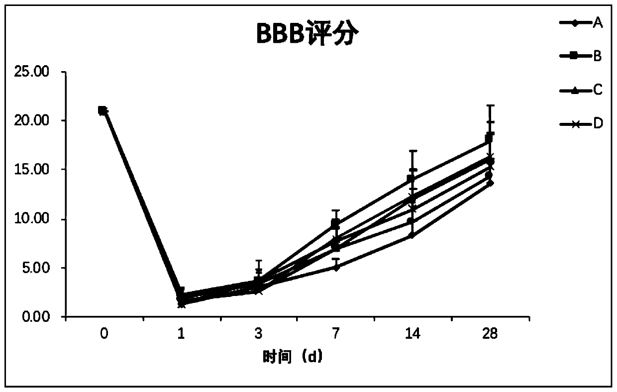 Anti-NgR and anti-NG2 mixed polypeptide vaccine, and application thereof in spinal cord injury repair