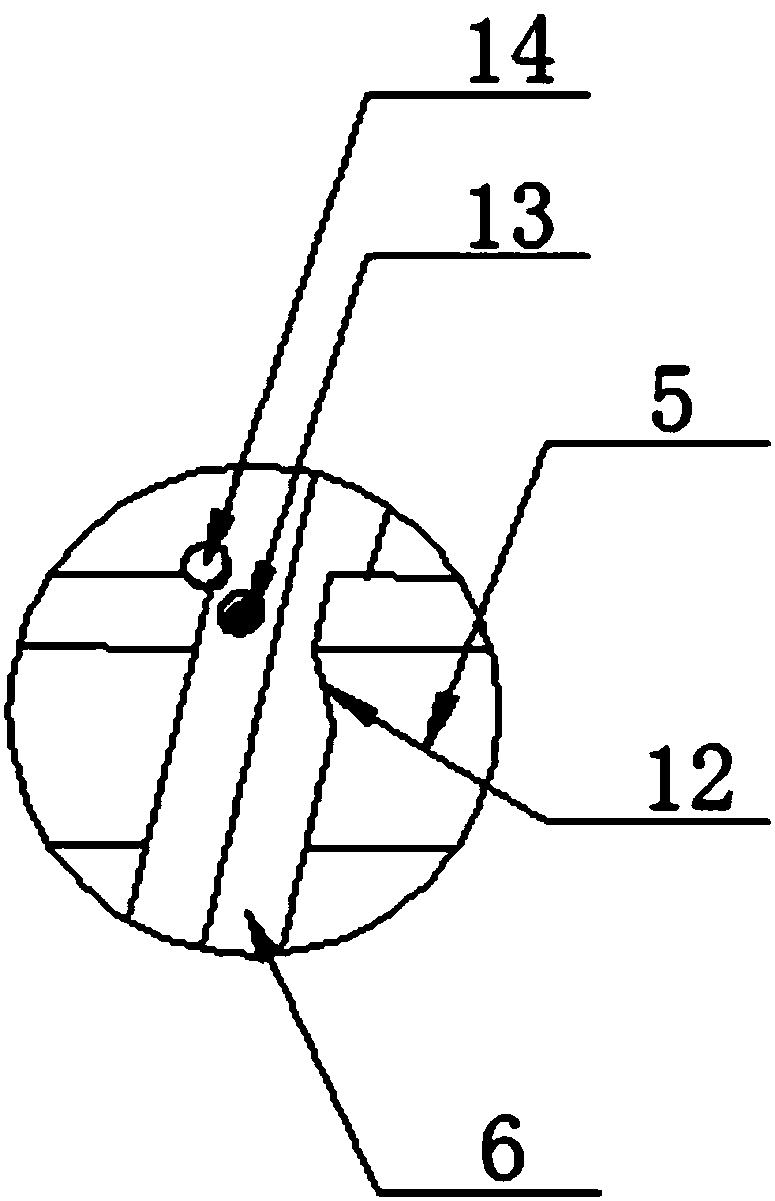 Rapidly-constructed grape plantation and cultivation frame