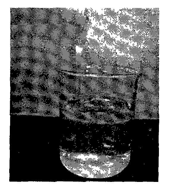 Solvent composition and preparation method and application thereof