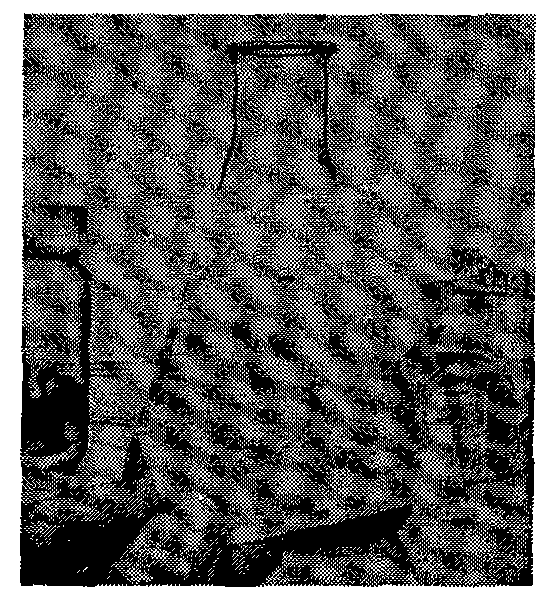 Solvent composition and preparation method and application thereof