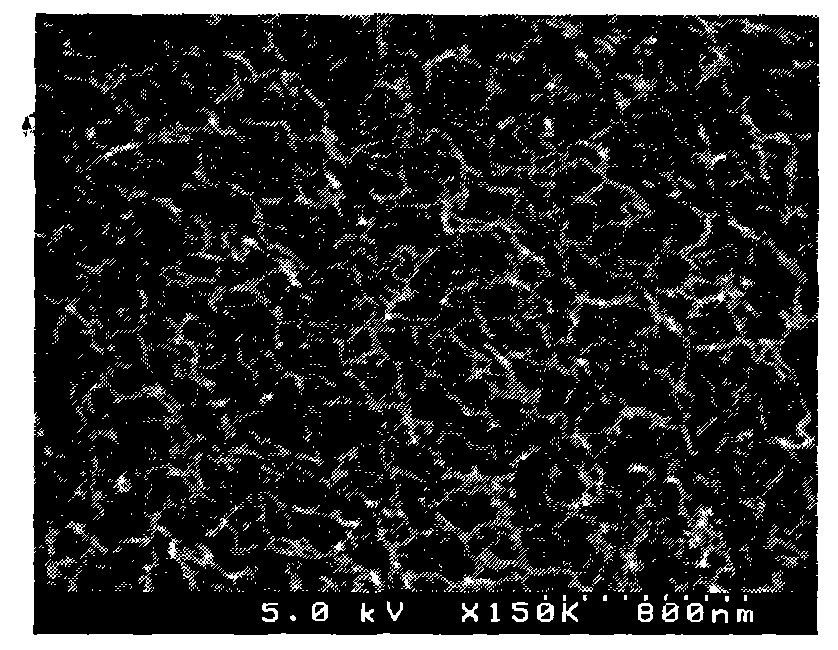 Solvent composition and preparation method and application thereof