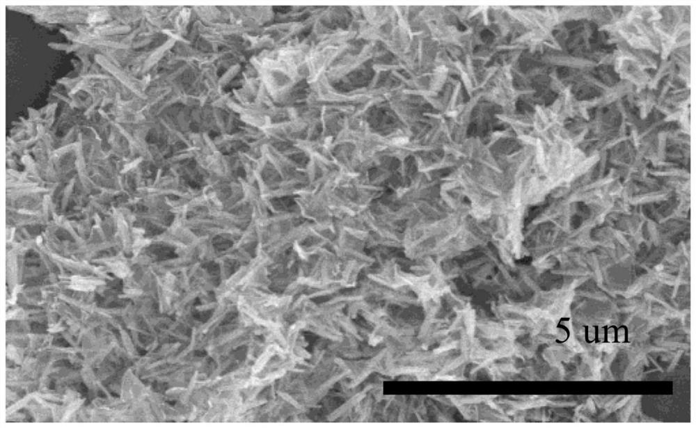 Graphene-bismuth phosphate aerogel and preparation method thereof