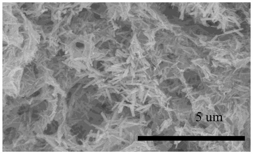 Graphene-bismuth phosphate aerogel and preparation method thereof