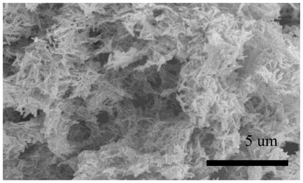 Graphene-bismuth phosphate aerogel and preparation method thereof