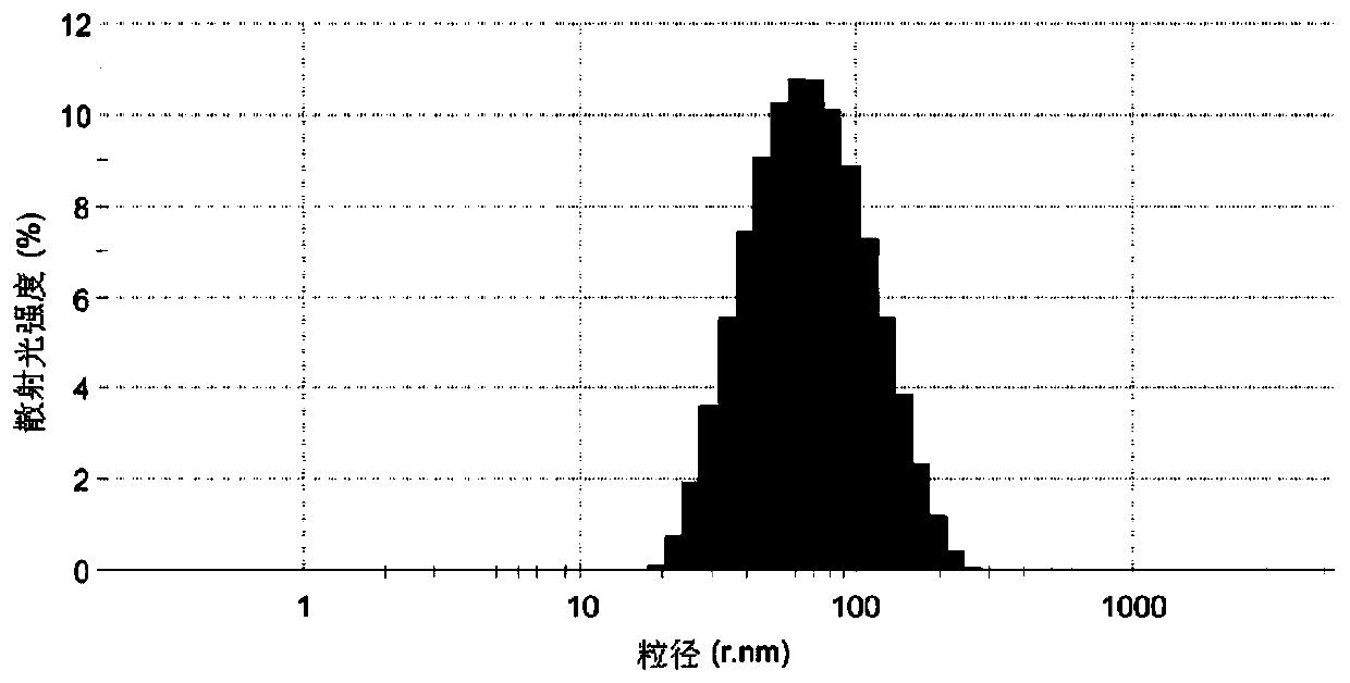 A kind of external use triptolide lipid nanoparticle and preparation method