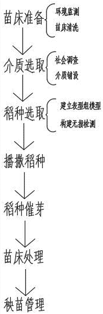 Rice intelligent plant seedling method