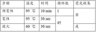 Molecular marker detection kit for primary liver cancer, nucleic acid composition and application