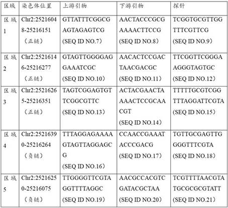 Molecular marker detection kit for primary liver cancer, nucleic acid composition and application