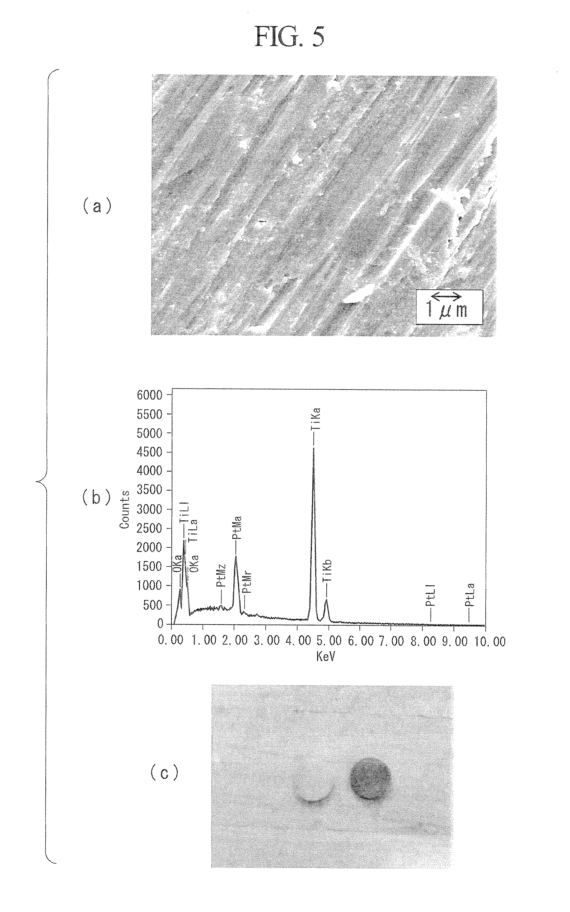 Antibacterial medical equipment and method for producing the same