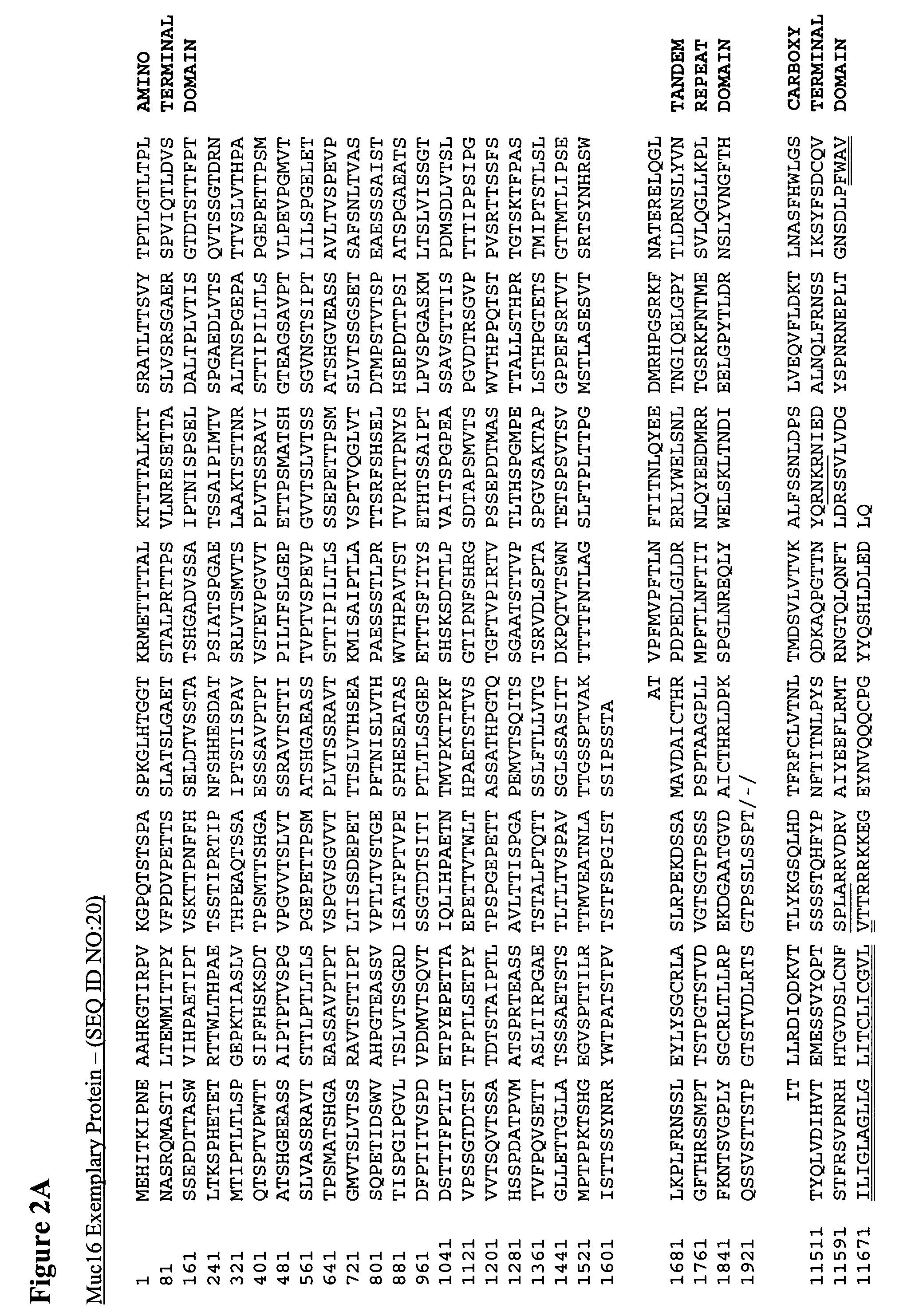 Antibodies to non-shed Muc1 and Muc16, and uses thereof