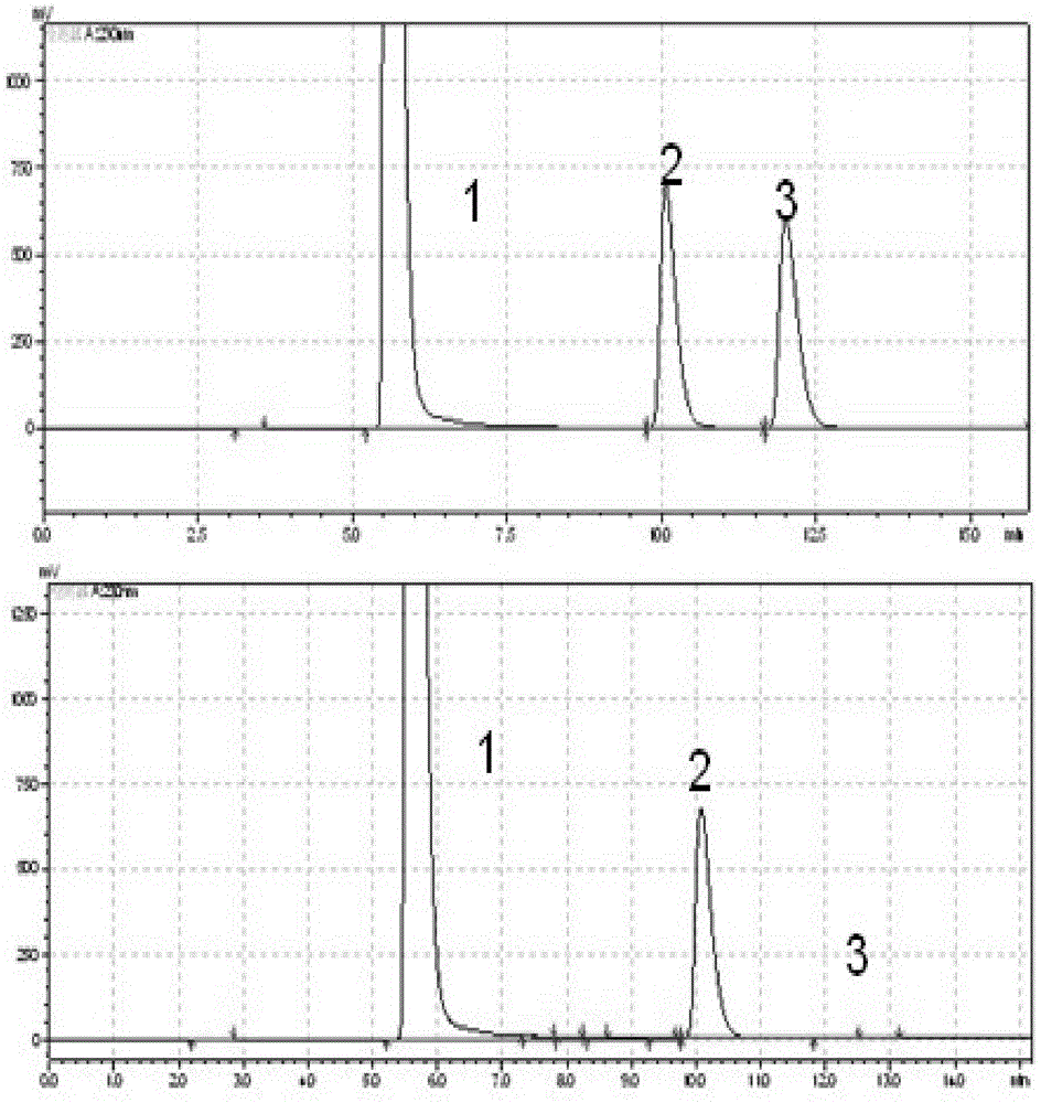 A (-) γ-lactamase with the activity of splitting racemate γ-lactam and its encoding gene and application