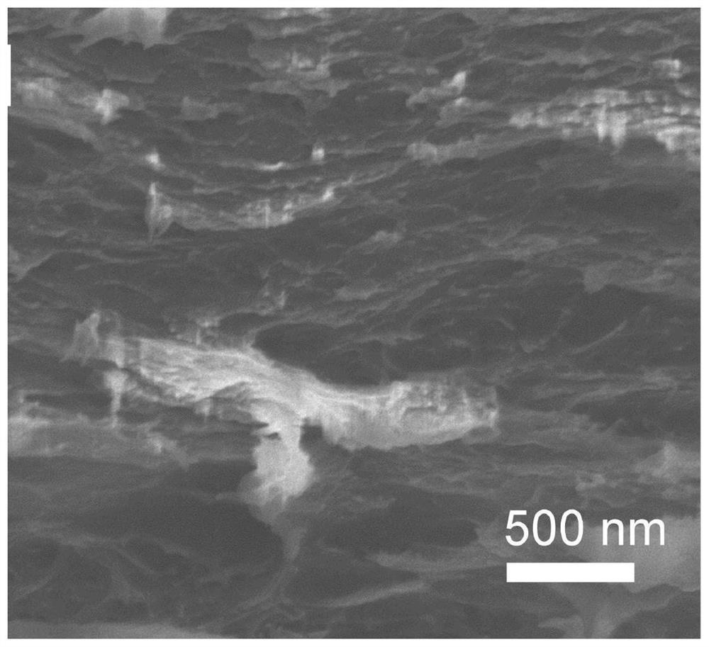 Preparation method of nanocellulose/molybdenum disulfide piezoelectric composite film