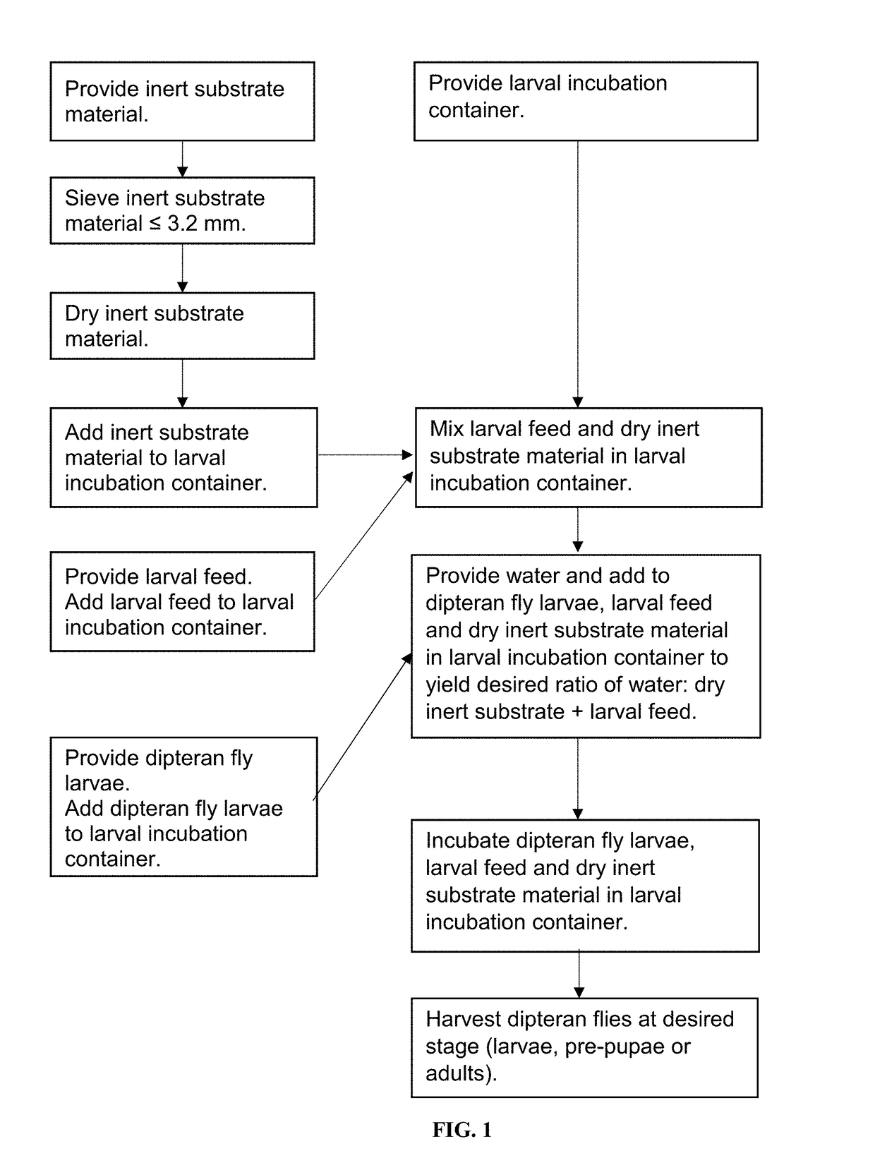 System and method for propagating dipteran larvae