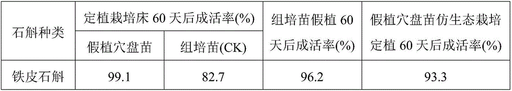 A kind of dendrobium cultivation method that improves facility utilization