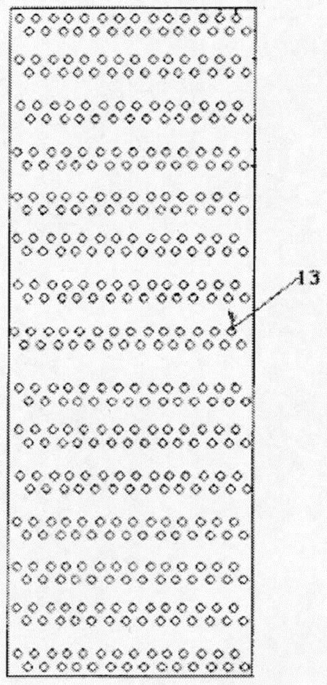 A kind of nutrient-enriched rice planting mode and method