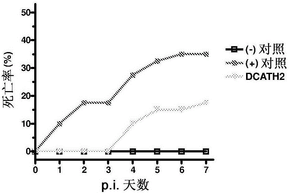 New cath2 derivatives