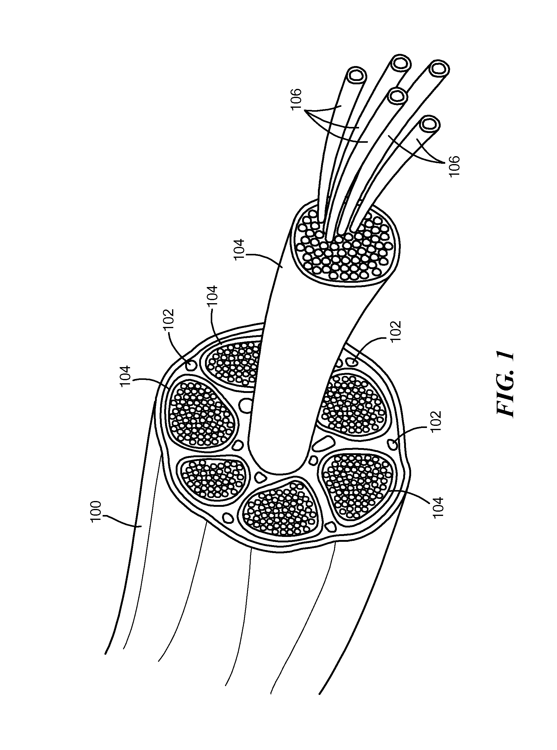 Multi-Layered Micro-Channel Electrode Array with Regenerative Selectivity