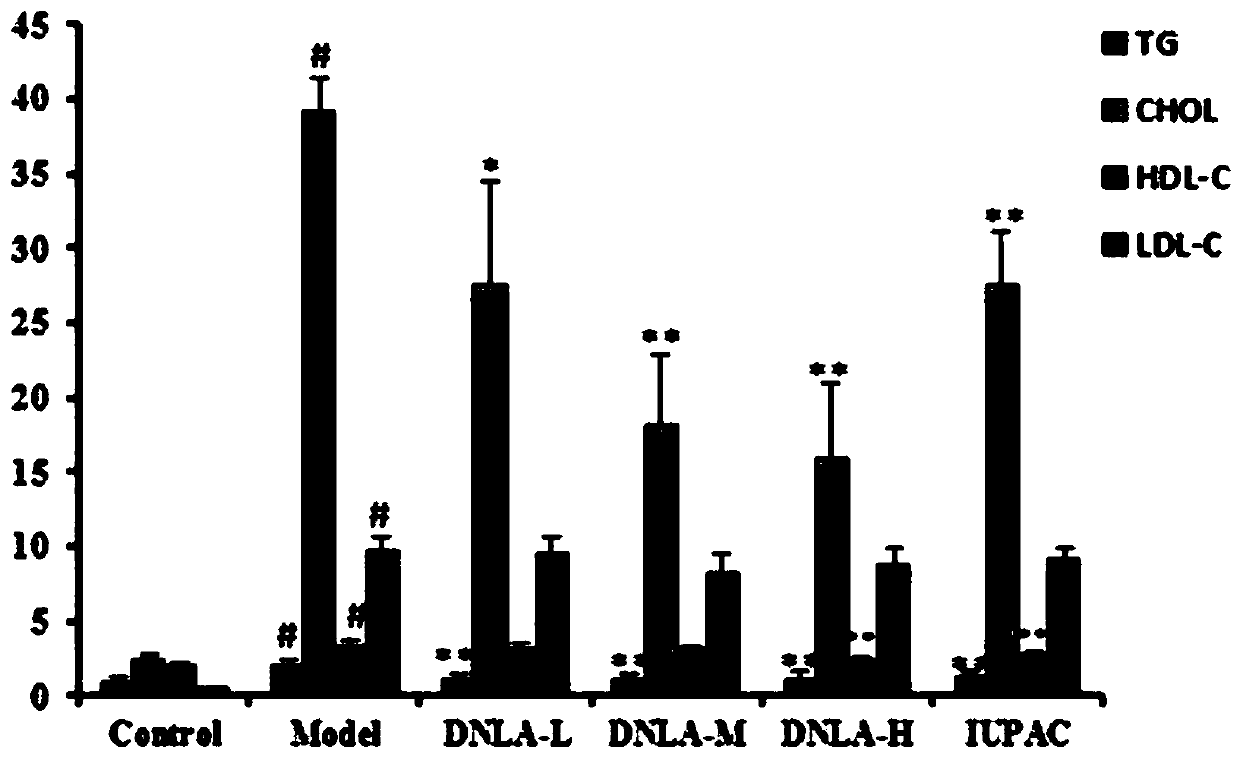 Application of noble dendrobium total alkali in preparing drug for atherosclerosis