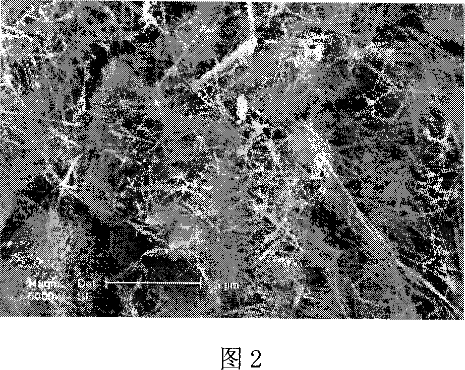 Aeration running water composite and its preparation method