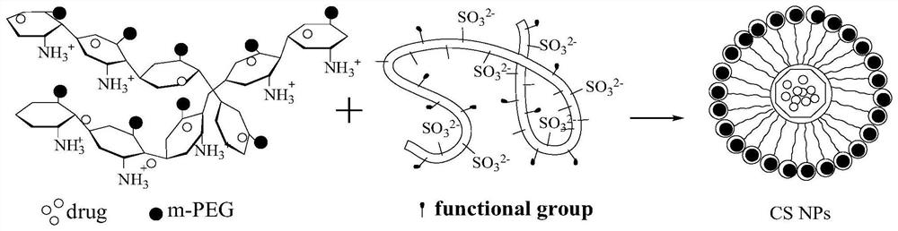 Preparation method and application of nano-drug carrier with long circularity