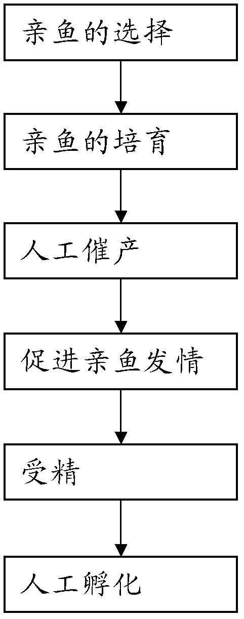 Artificial reproduction method for Pseudobagras ussuriensis