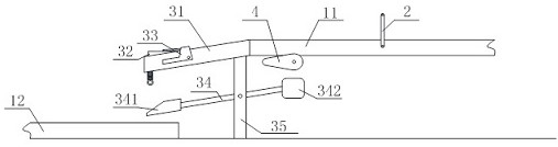 Fruit single conveying device for canning processing
