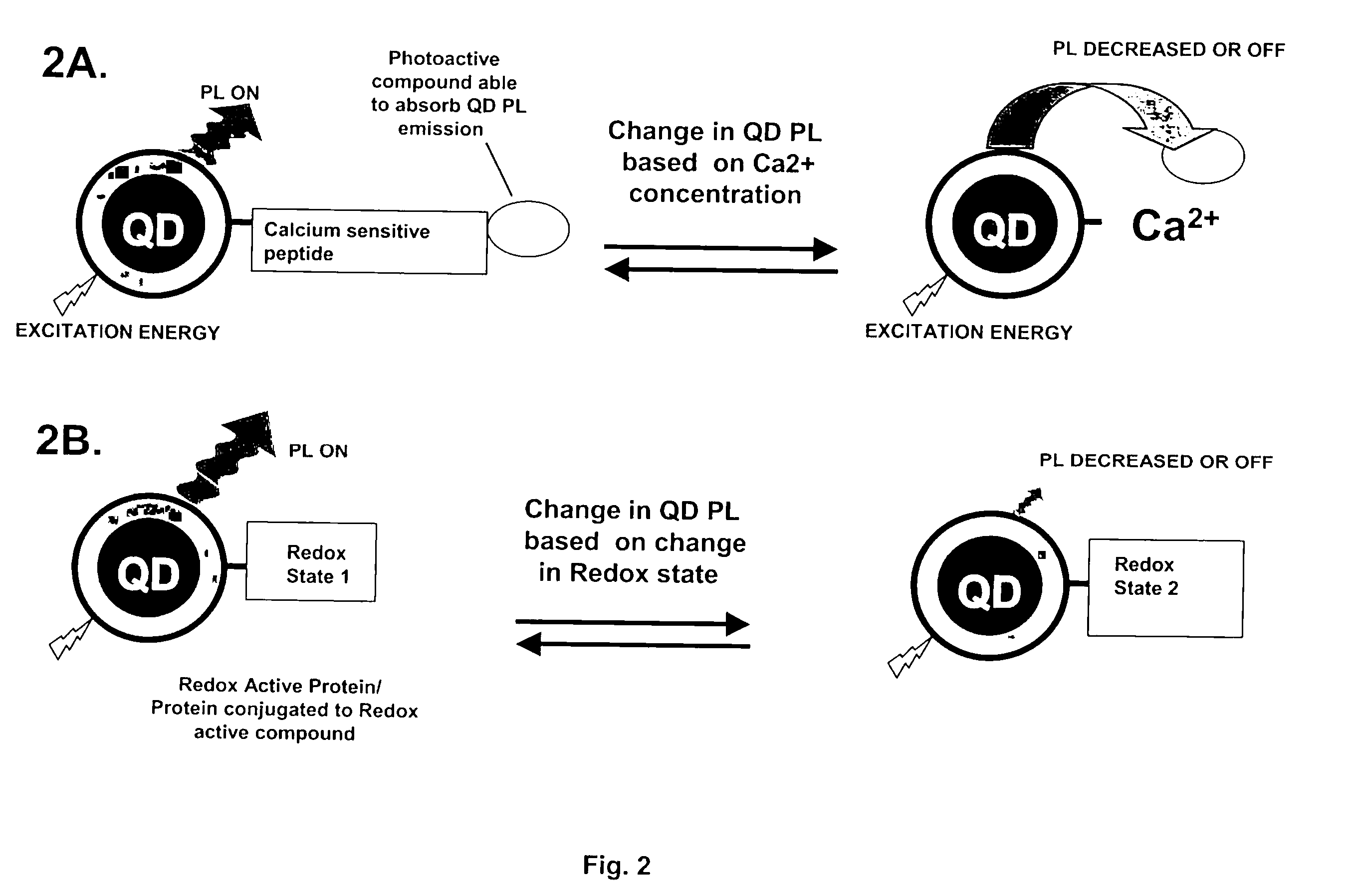 Method of controlling quantum dot photoluminescence and other intrinsic properties through biological specificity