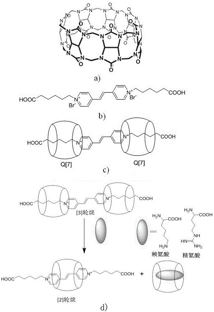 Cucurbit [7] uril [3] rotaxane as well as preparation method and application thereof