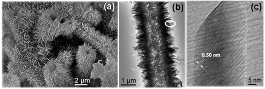 Preparation, product and application of tubular lithium titanate/titanium dioxide composites with regular defects