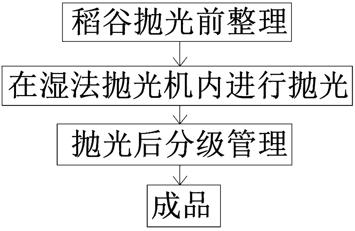 Rice processing and polishing process