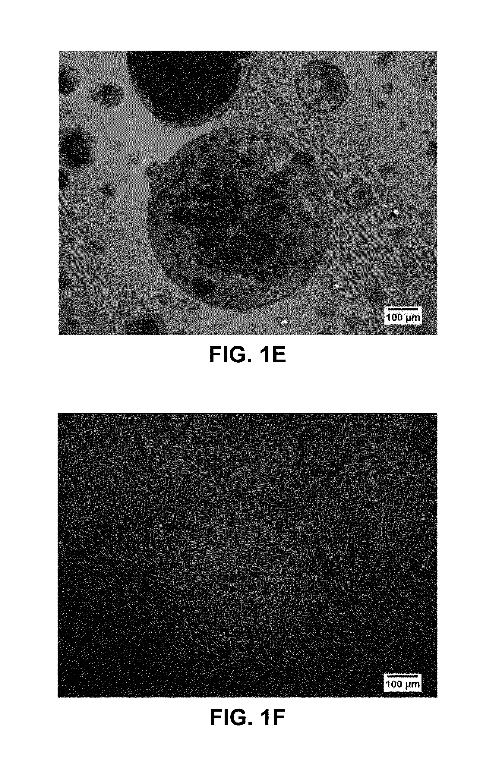 Dosage form comprising an active ingredient and a plurality of solid porous microcarriers