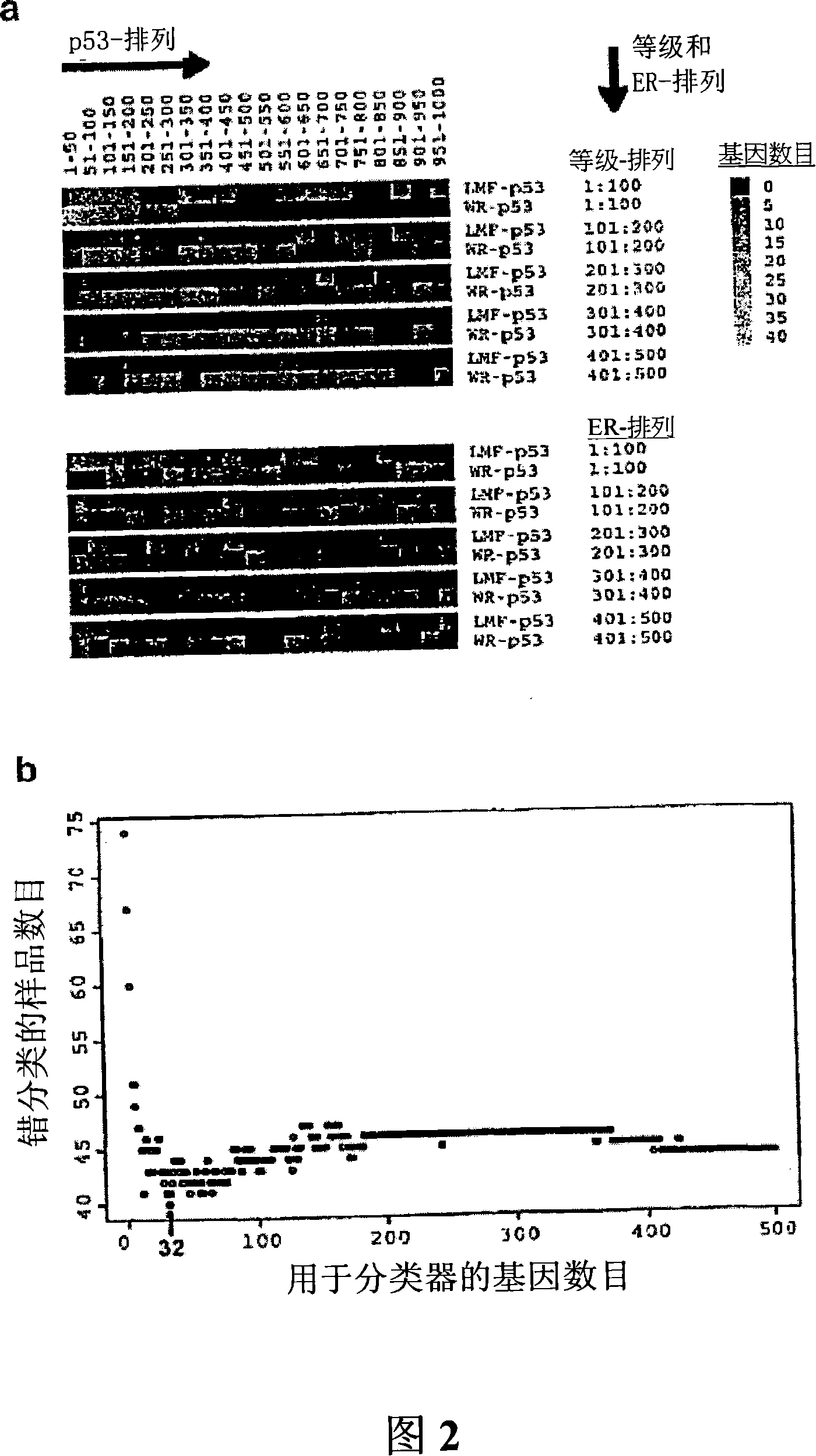Methods, systems, and arrays based on correlating p53 status with gene expression profiles, for classification, prognosis, and diagnosis of cancers
