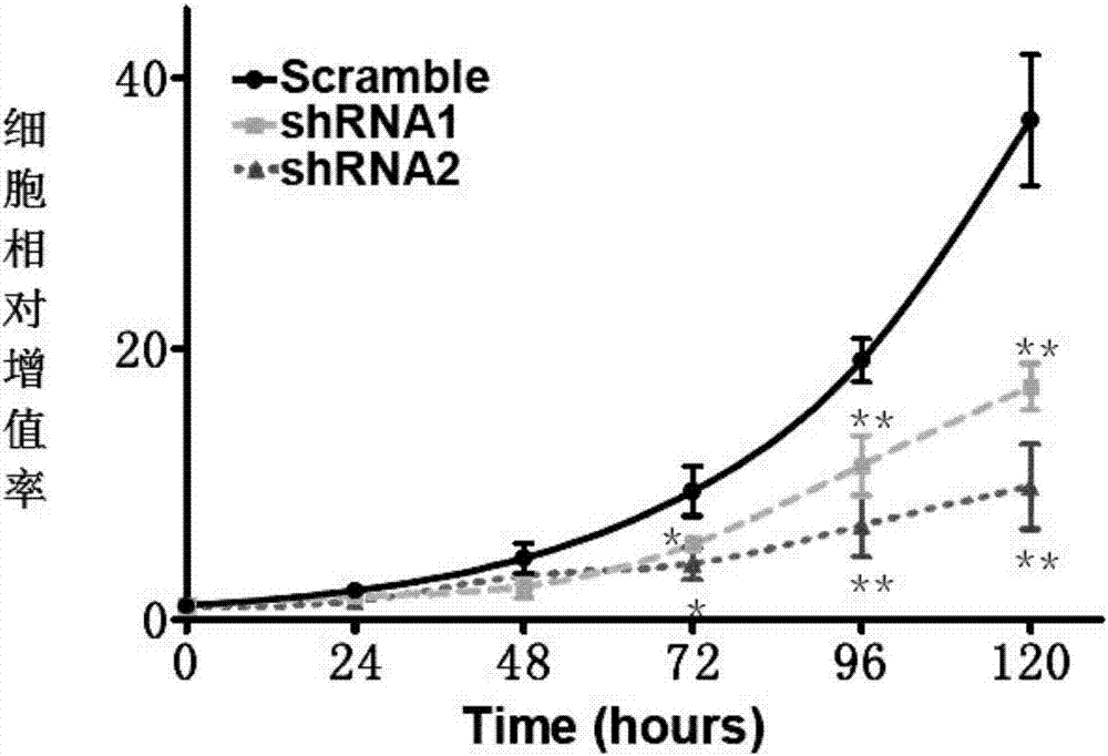 Long-chain non-coding RNA sequence for early diagnosis of human lung adenocarcinoma, preparation and application